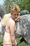 humour anal beasteality human sex tried