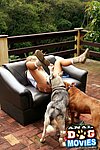 think maybe free animal lovers sex there, sitting