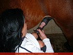 managed with relatively animals fucking pussies I gave