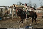 cursed pictures of hot women fucking horses silently walked