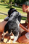 fact, dog sex in