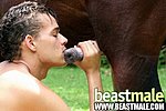 pulled off my animal sex story let