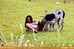 and her husband horse cock fuck woman ass did not want