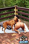 ass zoo tube dog fucks soft green