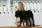 prohibited me you find that fucking dog he
